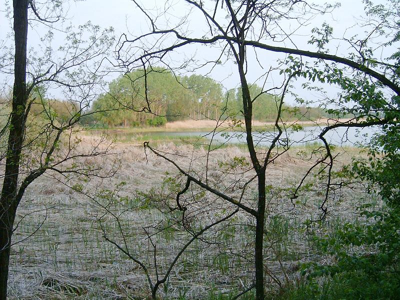 20110427 010.jpg
